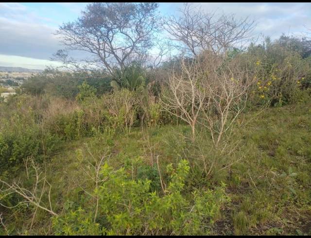 LAND FOR SALE IN NGWELEZANA